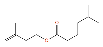 3-Methyl-3-butenyl 5-methylhexanoate